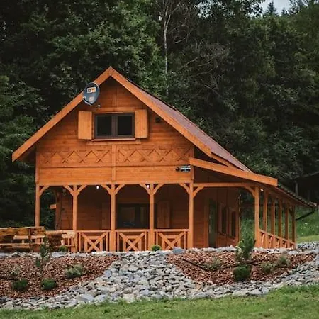 Zawrot Daire Wytrzyszczka