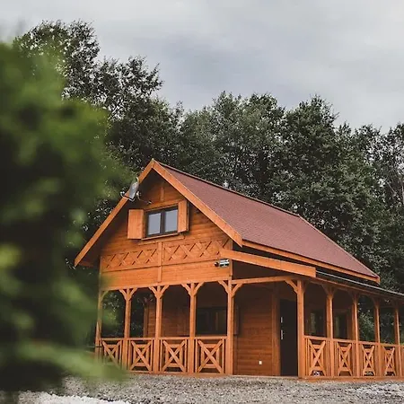 Daire Zawrot Wytrzyszczka